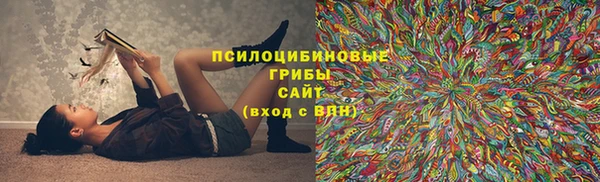 Альфа ПВП Арсеньев
