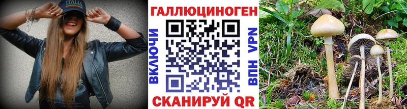 shop состав  даркнет сайт  Тейково  Псилоцибиновые грибы GOLDEN TEACHER 