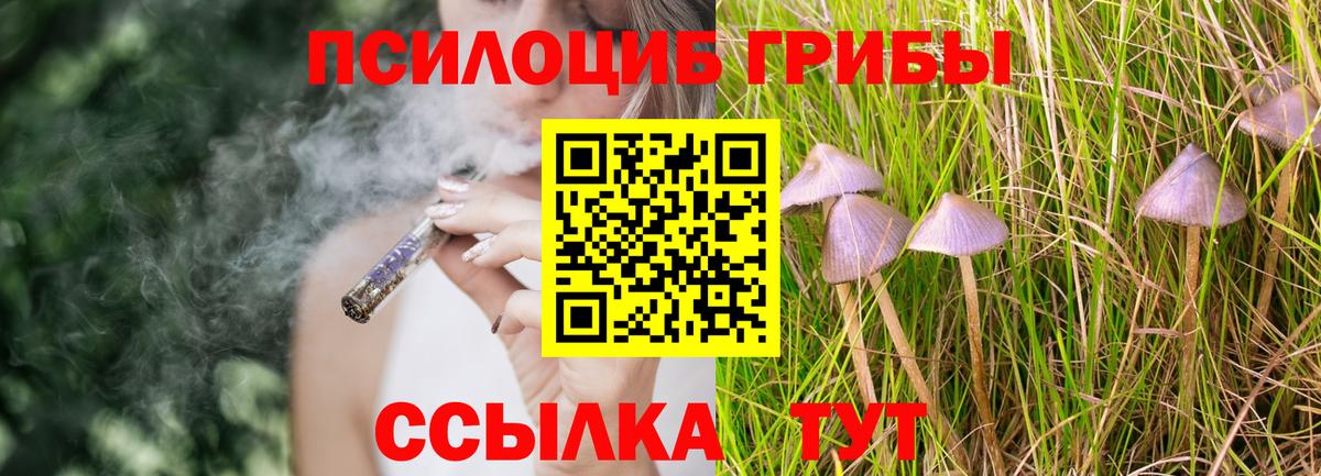 Псилоцибиновые грибы мицелий  Вход с VPN  Тейково 